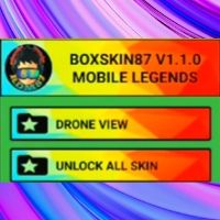 Box Skin Injector APK icon